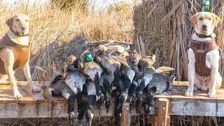 My BEST Duck and Goose Hunt Yet! - Duck Hunting 2017