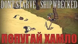 Dont Starve - Shipwrecked - Попугай хамло №6