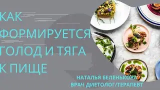 ФОРМИРОВАНИЕ ЧУВСТВА ГОЛОДА И ТЯГИ К ПИЩЕ