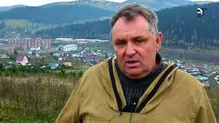 «Сохраним лес» – ежегодная всероссийская акция.