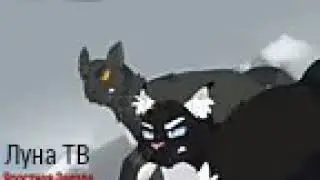 Коты воители Чистое небо