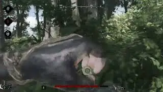 Caldwell Rival 78 - Hunt: Showdown