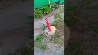 17 августа 2024 г.