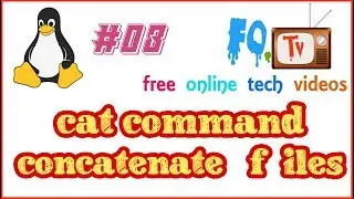 cat command |  Concatenate files and print on the standard output