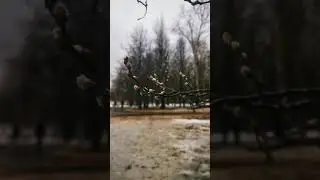 Весна в Парке 50-летия Октября