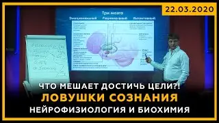 Что мешает достичь цели?! Ловушки сознания. Нейрофизиология и Биохимия. Сергей Змеев. 18+
