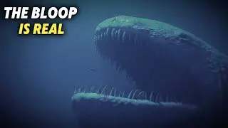 Is The Mysterious BLOOP Real or Fake?