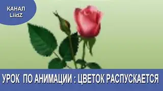 Урок по анимации Цветок раскрывается