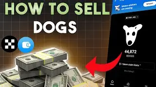 How to Sell DOGS Token Instantly on Binance, Bybit & OKX