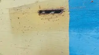 воспоминания
