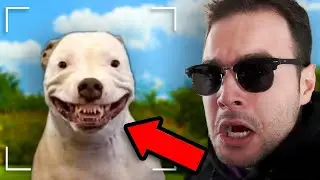 🔴 I VIDEO Più CURSATI su INTERNET