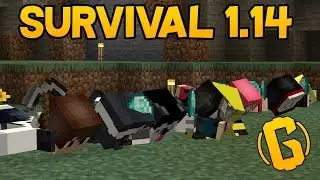 Survival 1.14 cu *ABONATELE* / SCULA GANG !!!