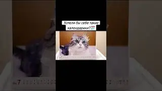 жиза 