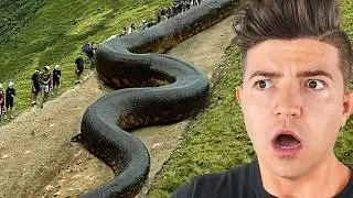 Most *IMPOSSIBLE* Things Found in the WORLD!