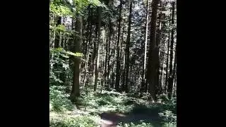 Это релакс...