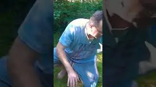САЗАН И ЛЕЩИ