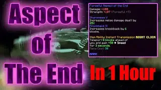 HOW TO GET THE ASPECT OF THE END SWORD IN 1 HOUR(Hypixel Skyblock Guide)
