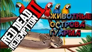 Исследуем Гуарму: Редкие События | 4 Уникальные Змеи и Птицы в RDR2 | #Гуарма #VimeRGame #рдр2 #rdr2