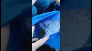 Приезжайте к нам будет очень весело, говорили они