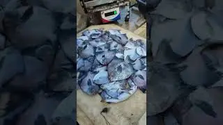 Low cost fish market in kakinada Matlapalem Fish Market #fish #market #matlapalem