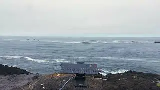 Playing Synth Music for Whales