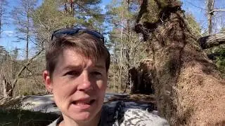 Start naturfagsfilm 1 høy oppløsning