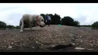 Feeding the Ducks in 360