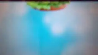 Flying burger guy....
