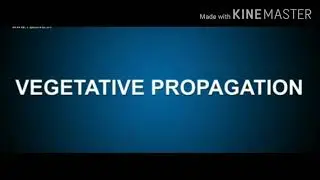 Vegetative propagation (Reproduction)