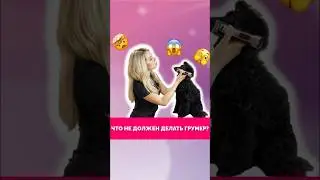 Границы компетенции грумера и ветврача. Записаться Яна конгресс 👉🏽 https://clck.ru/3BKA8Z