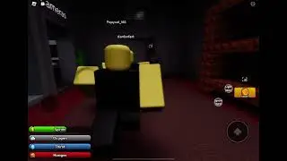 This video proofs if invisible is perm in a round not forever.