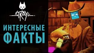 Занимательные факты о Stray