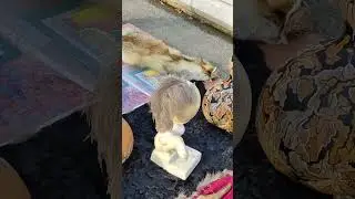 На что это похоже?