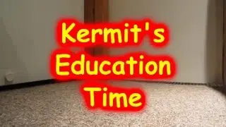 Kermit's Education Time
