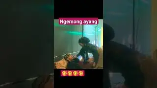 akbar syuting bareng ayang 🤪 #akbar #dalangviral #akbarsyahalam #niken#niken #viral #viralvideo