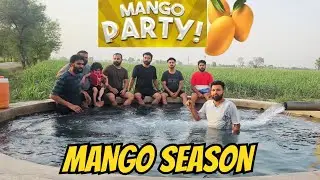 Mango Party Swimming Pool Fraud 🤥
