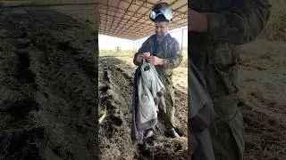 Мастер подкидывать вещи в карман 👌🤣