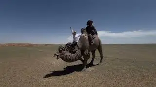 Монголия май 2024 - отчетное видео о поездке (группа 1)