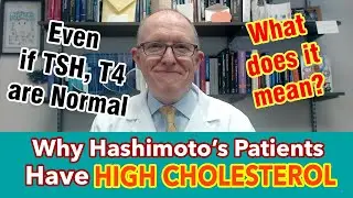 Why Hashimoto's Patients Have High Cholesterol - Even If Taking Hormones and TSH, Free T4 Are Normal