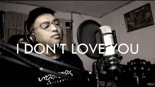 I Don't Love You - My Chemical Romance (cover)