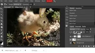 Digital Graphics Lesson 4