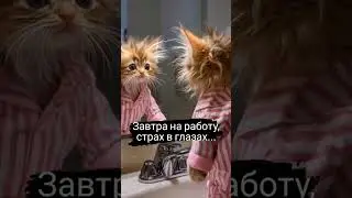 - Завтра на Работу!..