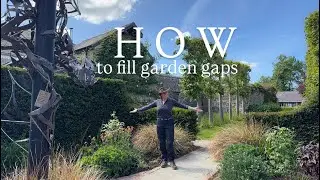 New to gardening? Here’s what to do.