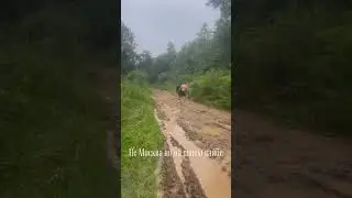 Наши великие дороги😎