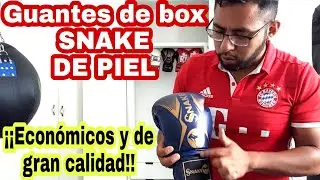 Los mejores guantes de box y en piel, calidad/precio SNAKE