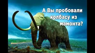 Копчёная колбаса из мамонта. Приготовлена на печи Новая ракета.