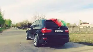 Туй дар А.Чоми