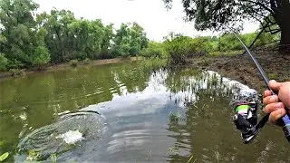 Там Зібралось Повно Щуки. Ловлю Щуку. Чехоня не Клює