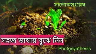Photosynthesis || সালোক সংশ্লেষণ || IN BANGLA || CLASS 10 NCERT SEBA || PHOTOSYNTHESIS IN BANGLA