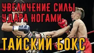 Увеличение силы удара ногой в тайском боксе. Тайский бокс дома.